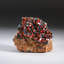 Vanadinite Crystal Cluster on Matrix From Morocco