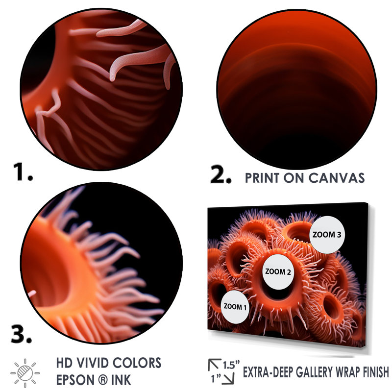" Orange Giant Plumose Anemone ", 12" H x 20" W x 1" D, Silver Single Picture Framed