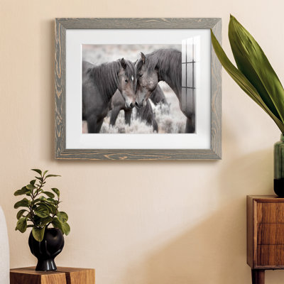 Chevaux sauvages - Photographie avec cadre photo