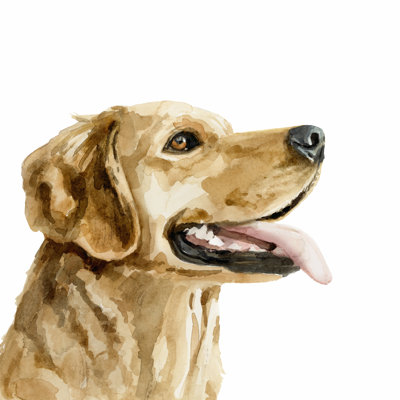 Profil de l'animal II