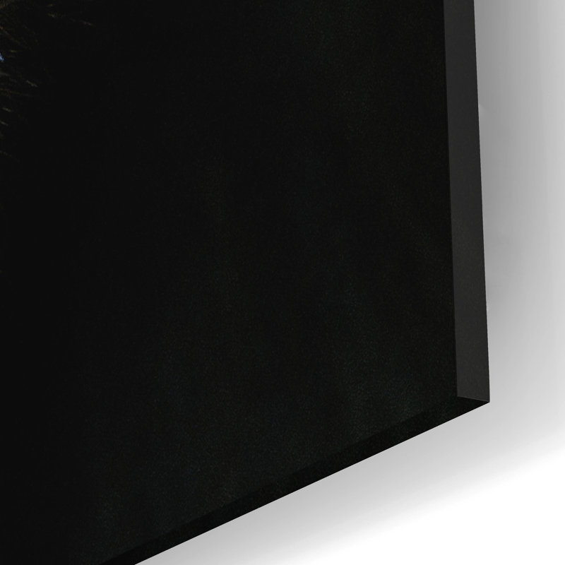" Mandrill " by SD Smart, 16" H x 12" W x 0.13" D