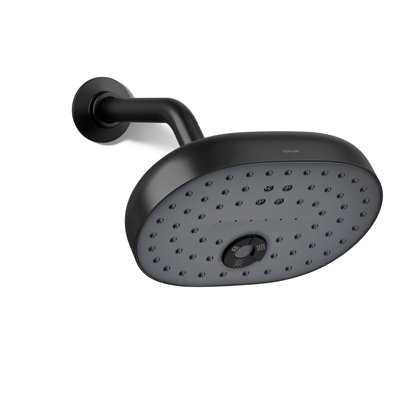 Statement Oval Multifunction Showerhead