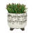 S/2 Ceramic 6/8" Scribble Footed Planter