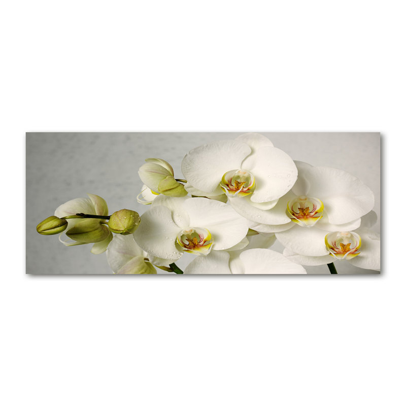 White Orchid - Wrapped Canvas Print, 70cm H x 100cm W, Glass