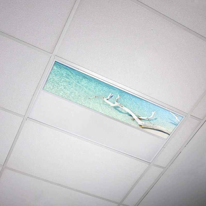 Beach Rectangle Fixture Component Ceiling Light
