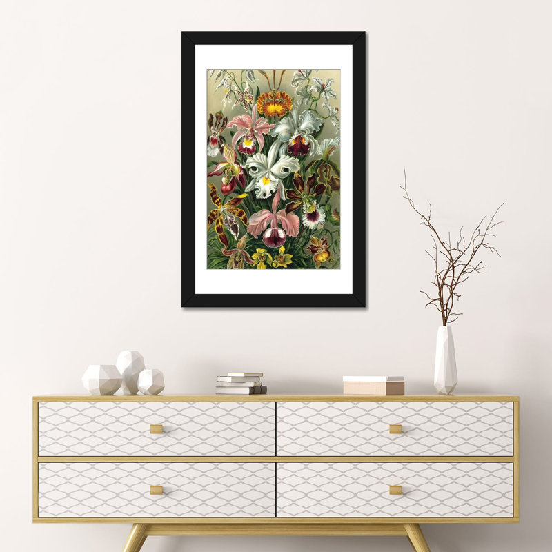 « haeckel orchidées », impression sur toile, H 24 po x l 16 po x P 1 po, Papier d'art encadré noir, Blanc
