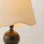 Coelho Metal Table Lamp