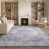 Melaya Performance Machine Washable Oriental Rug