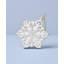 2025 Blown Glass Snowflake Ornament