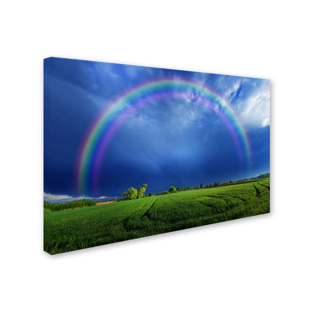 "Lucky Rainbow" by Philippe Sainte-Laudy Photographic Print on Wrapped Canvas Ebern Designs 