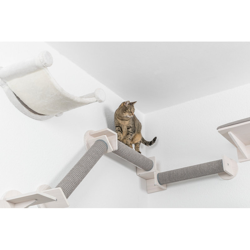 Ensemble d'escalade pour chat à fixation murale Trixie, Blanc / gris