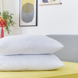 Snug Just Right Pillow Pair