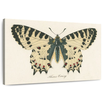 Brampt Natures Butterfly I