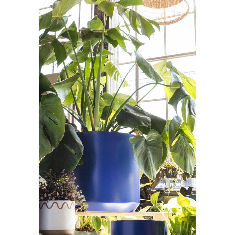 Pot à fleurs en céramique Parsons, H 11,75 po x l 12 po x P 12 po, Bleu