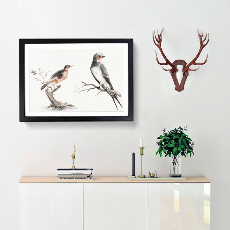 Songbird & Bee-Eater Bird by Johan Teyler - Framed Print, 48cm H x 65cm W x 2cm D, Black Framed