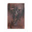 Focused II 1 Piece Wrapped Canvas Painting-1684242079