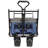 Collapsible Foldable Wagon With Canopy