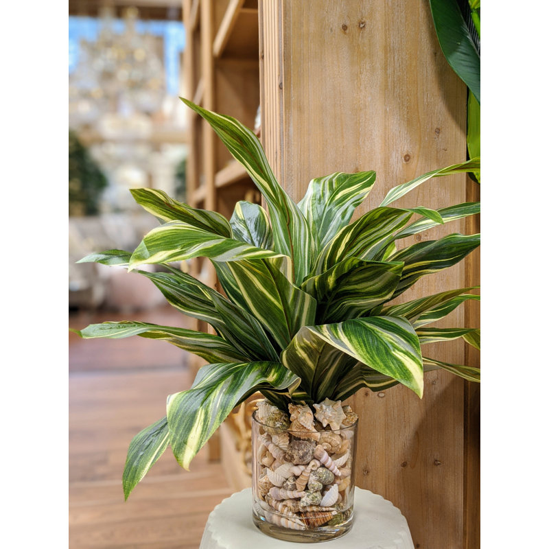 Rockwood Faux Plant in Glass Vase