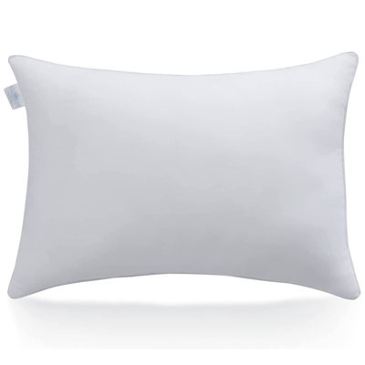 Conley Polyester Medium Pillow