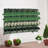 30Pcs Wall-Mounted Planter Box Indoor/Outdoor