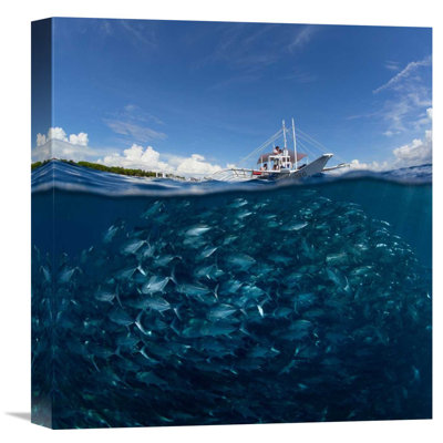 «Straub Go Diving» par Andrey Narchuk - reproduction de photo