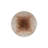 Kari Brown Themed Woven Base Carpet And Washable Carpet-1762870578