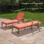 Coussins de chaise longue intérieur / extérieur-27245846