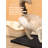 Plastic Litter Mat-100531365