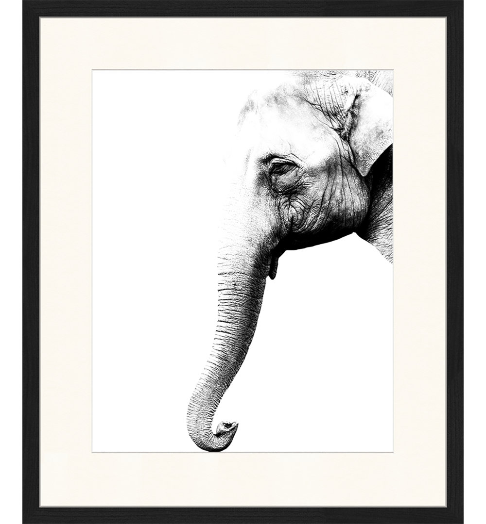 Elephant - Picture Frame Graphic Art Print on Paper