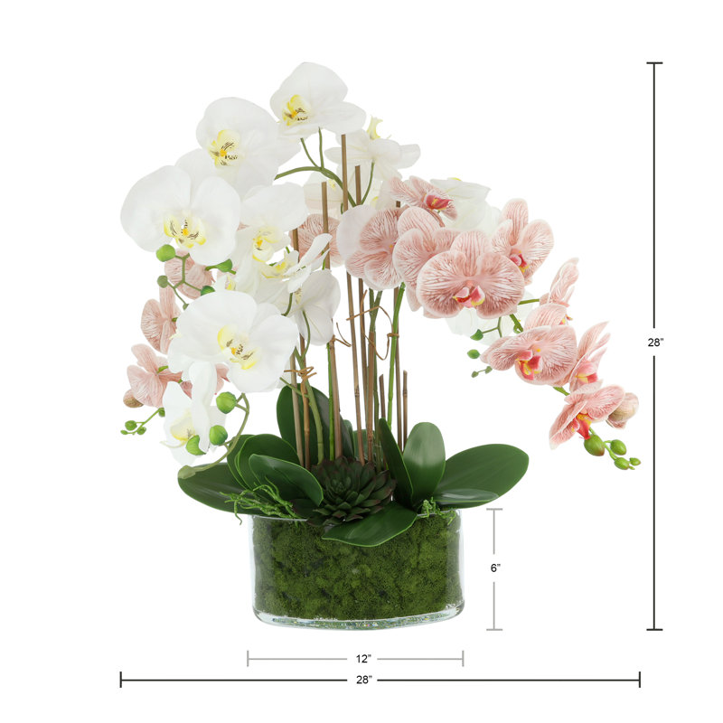 Orchid Arrangement in Glass Vase with Moss
