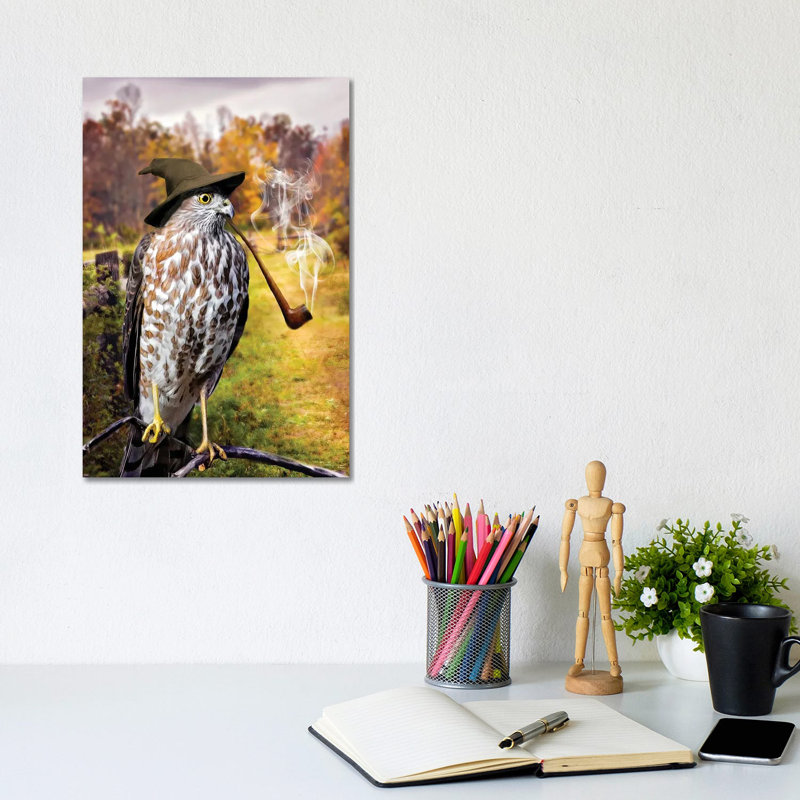 Wizard Hawk 1 Piece Wrapped Canvas Wall Art, 30.48cm H x 20.32cm W