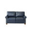 Causeuse de salon avec accoudoirs ronds et similicuir bleu marine