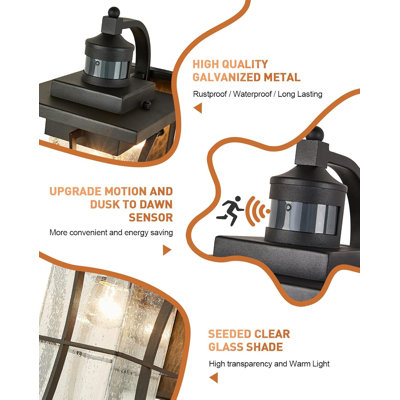 Annaiyah LED Wall Light
