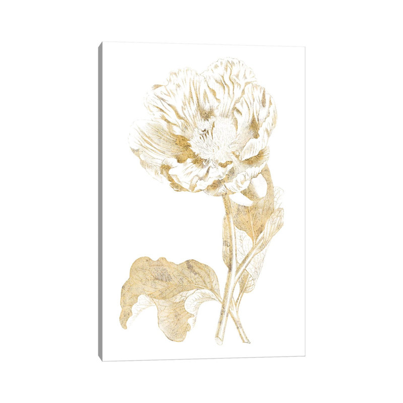 Gilded Botanical VII by Wild Apple Portfolio - Wrapped Canvas Painting, 66.04 cm H x 45.72 cm W x 3.175 cm D