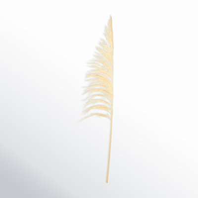 Lei 71'' Palm Plant