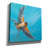 'Soaring' by Sue Schlabach Canvas Wall Art-1899749347
