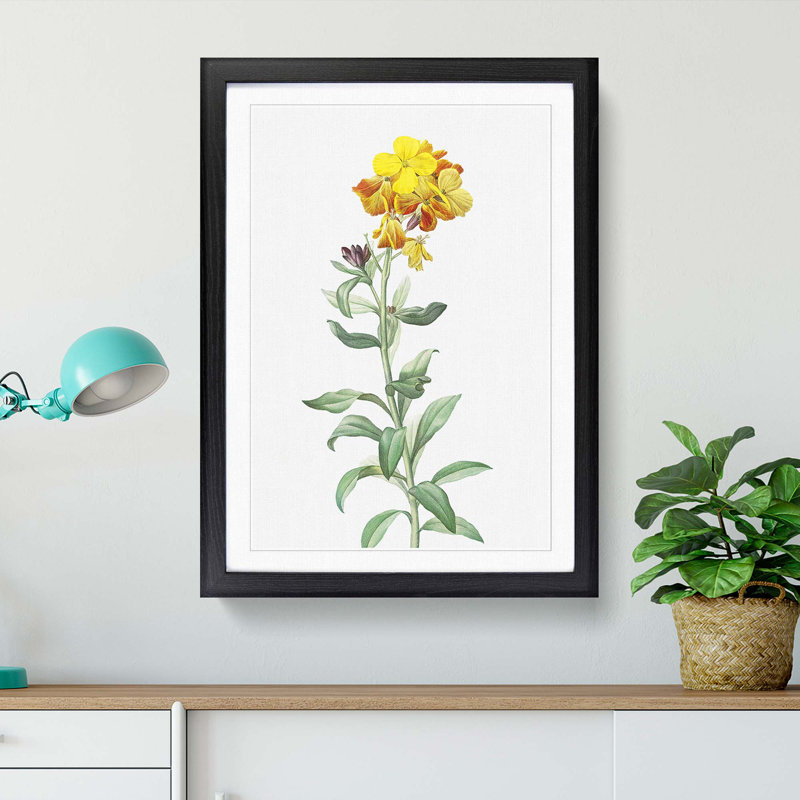 Wallflowers in Yellow by Pierre-Joseph Redoute - Picture Frame Painting Print, 48cm H x 36cm W x 2cm D, Black Framed