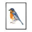 Oiseau orange rétro - peinture sur toile-59762193-59762194