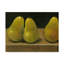 «Pear Study» par Timothy O 'Toole - reproduction sur toile-33516014