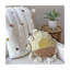 Sunshine  Pillow