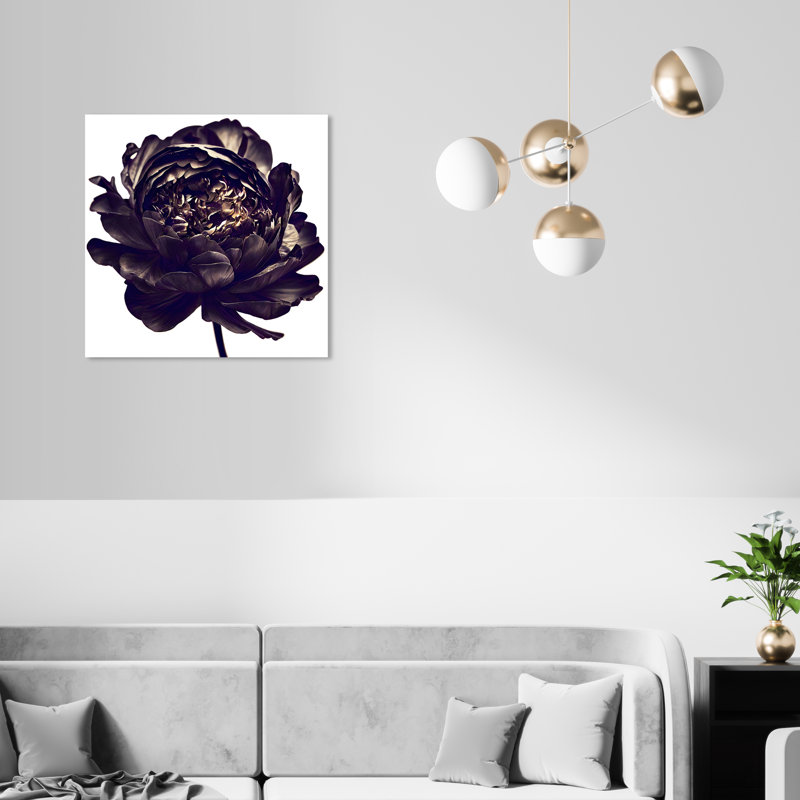 Pivoine noire - Impression sur toile, Toile tendue, H 20 po x l 20 po