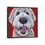 «Golden Doodle» par Hippie Hound Studios, impression sur toile tendue-73655981-73655984-73655989