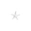 Medium Starfish-54880807