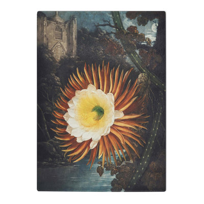 Tempered Glass Blooming Cacti by R.J. Thornton Chopping Board