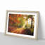 Autumn Forest - Picture Frame Painting Print-56633540-56633545