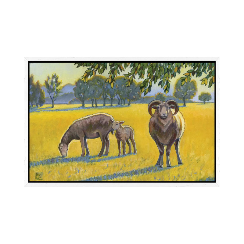 Baa, Ram, Ewe, White Framed, 101.6 cm H x 66.04 cm W