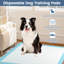 36''x 36''(100 Counts) Dog Potty Training Pads Puppy Pee Pads w/ Quick-Drying