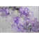 Cerrito Premium Machine Washable Cerrito AMF520 Purple Rug