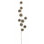 Pine Cone Stem
