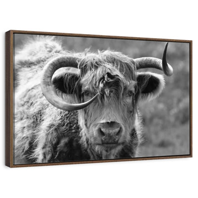 Monochrome Highland Cow